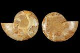 3.2" Cut & Polished Agatized Ammonite Fossil (Pair) - Jurassic - #131700-1